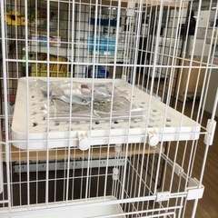 キャスター付きキャットケージ　猫ケージ　2段の画像