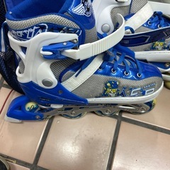 大人インラインローラーLの画像