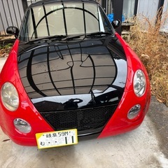 早いものがちの画像