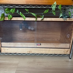 900爬虫類ケージの画像