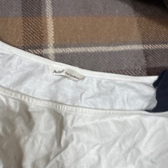 Auief レース半袖　Mの画像