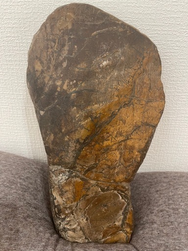 巨大 トリケラトプス Triceratops fossil remains 長骨 化石 恐竜 白亜紀 アルバータ州 鉱物 鉱物標本