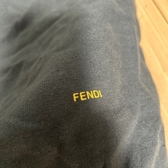 FENDI とcoach  バッグ用袋の画像