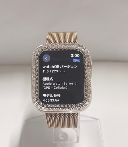 Apple watch 本体