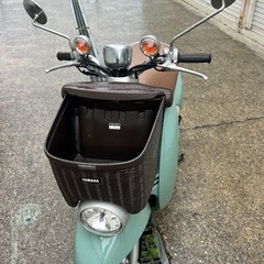 ビーノモルフェ　SA37 色違いも出品中の画像