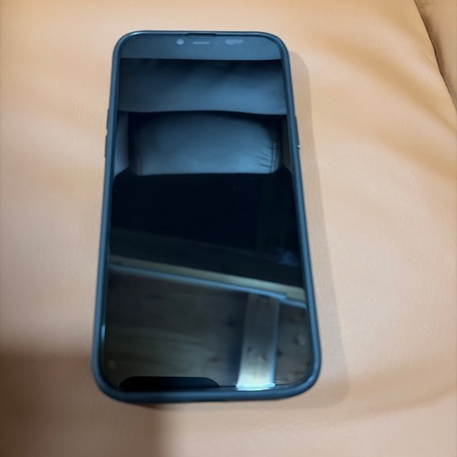 iPhone 12 Pro Max 512GB｜SIMフリー｜美品｜動作良好