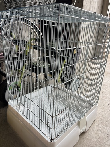 イージーホーム37ハイ　ゲージ　小動物　三晃商会
