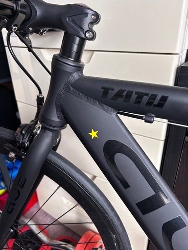 シングルスピードバイク  AUS  ( tatu)