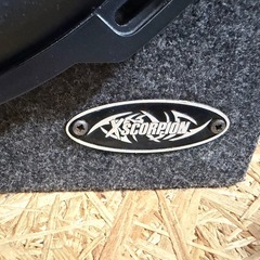 ロックフォード　ウーファー　30cm　の画像