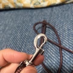 ドッグリード　1m 2本セットの画像