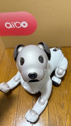aibo（アイボ)