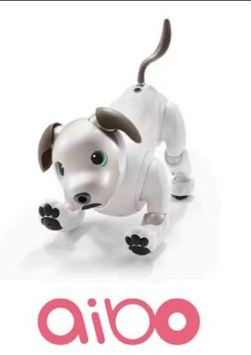 aibo（アイボ)