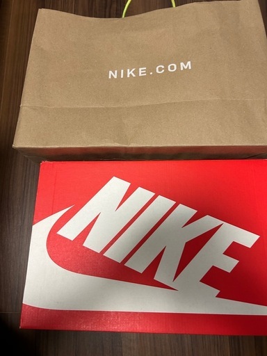 日本未発売！NIKE AIRMAX UPTENPO 95 CK0892-600