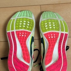 仙台市/NIKE Pegasus 40 EKIDENの画像