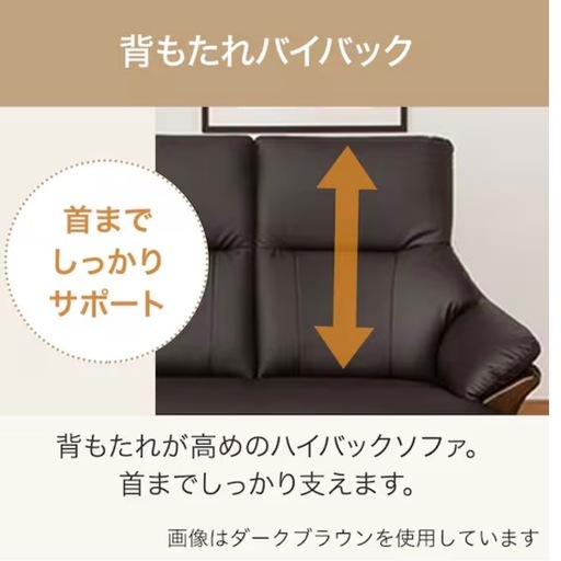 ニトリ ソファ 
コウテイ3 Nシールド DBR