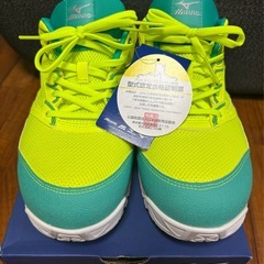 新品未使用のミズノ安全靴の画像