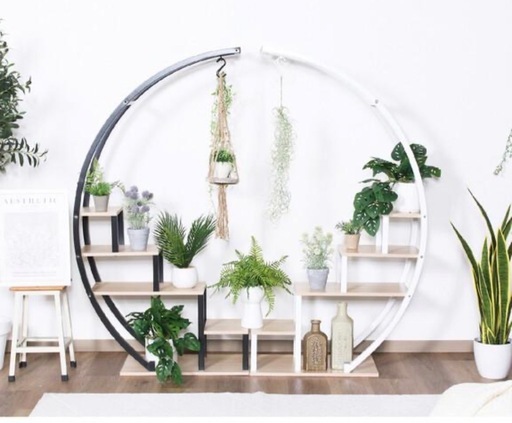 ラック　観葉植物