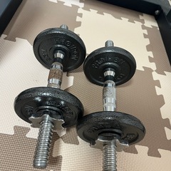 ⚠️【要確認】懸垂マシン，ベンチ，ダンベルの画像