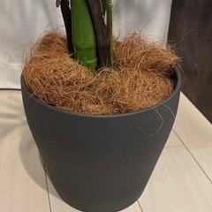 【美品】フェイク観葉植物 約120cm＋IKEA鉢セット の画像