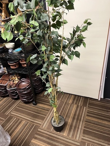 POSH LIVING（ポッシュリビング） 人工観葉植物 アーティフィシャル 【商品名】 フェイクグリーン フィカス（人工観葉植物）高さ約150cm 