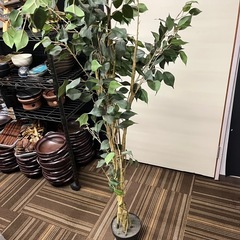 【商品名】 フェイクグリーン フィカス（人工観葉植物）高さ約150cm の画像