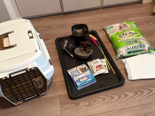 【早い者勝ち】猫用品まとめ売り一式
