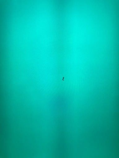 Panasonic テレビ　55インチ