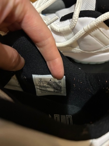 Nike Air Jordan 11 Low 