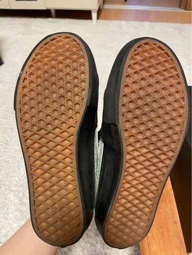 Supreme × Vans Dollar Skate Grosso Mid "Black"