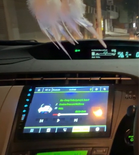 9インチ カーオーディオ + バックカメラ