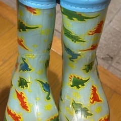 イフミー E5系とレインブーツの画像