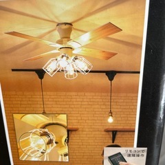 訳ありルーフファンライトの画像