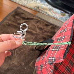 ソフトペットキャリーの画像
