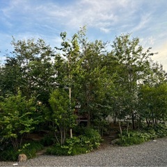 剪定工および剪定講習 - 塩尻市