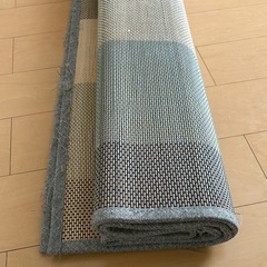 ゴザカーペット
の画像