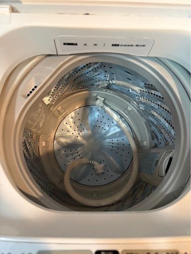 2023年Hisense洗濯機①