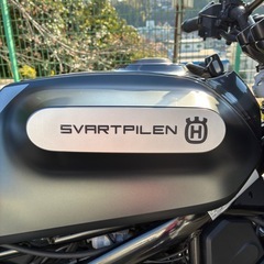 スヴァルトピレン250 早い者勝ちの画像