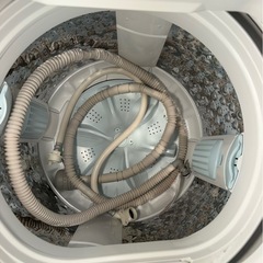 2023年TOSHIBA電気洗濯機⑦の画像