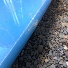 セミロング！サーフボード！の画像