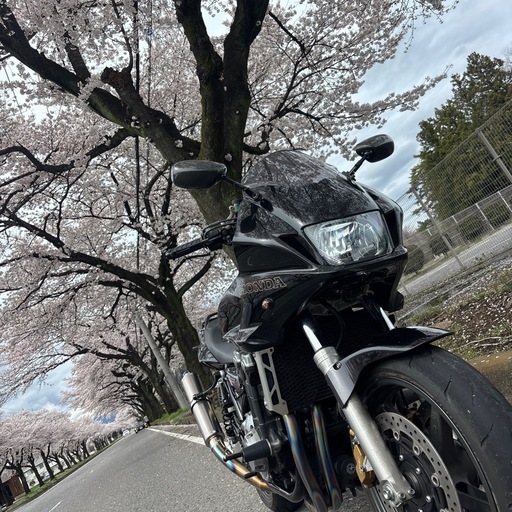 試乗OK!　車庫保管　CB1300スーパーボルドール　SC54   フルエキ　ブレンボ　 その他多数