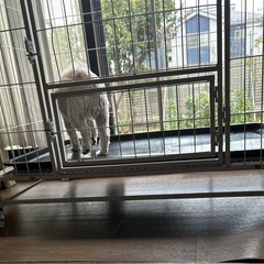 ペットゲージの画像
