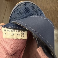 瞬足 17.5cmの画像
