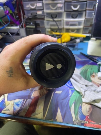 JBL FLIP6
