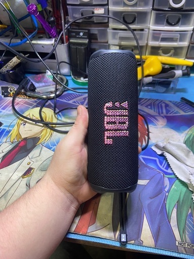 JBL FLIP6
