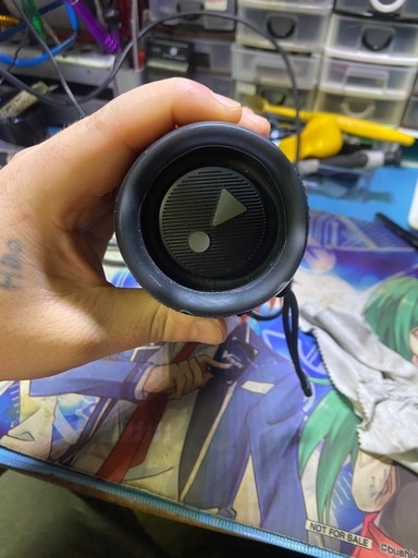 JBL FLIP6
