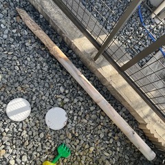  状態良好★丸太杭 添え木 園芸 苗木用 ガーデン用品 杭 天然木 丸太の画像