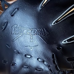 ミズノのソフトボール内野手用グローブ、WILLDRIVEシリーズの画像