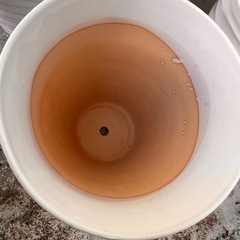 陶器の鉢の画像