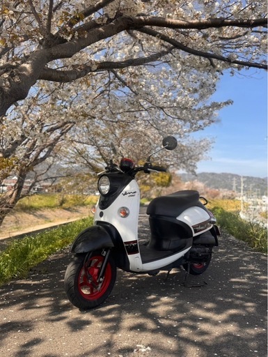 ヤマハ ビーノ SA54J 高年式