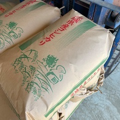 茨城県結城市産】令和7年産 虹の煌めき 玄米30kg 産地直送2 (Kazu 